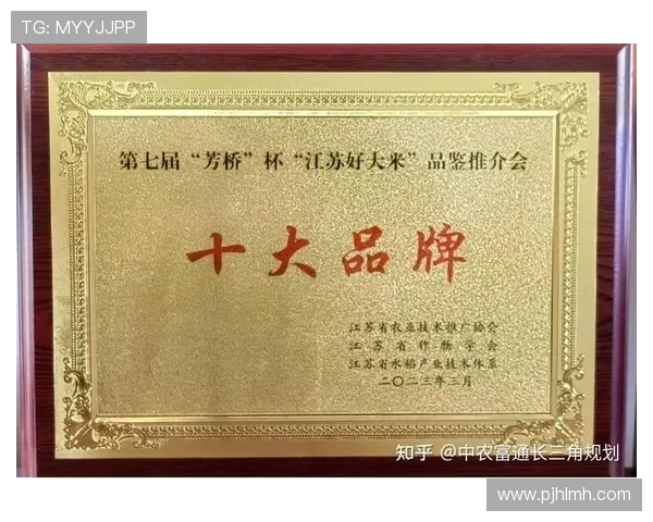 江苏足协07梯队全力锻造未来之星推动青训体系持续高质量发展
