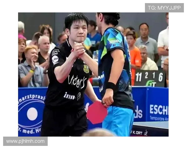 乒乓球德甲俱乐部的组织架构与发展历程分析